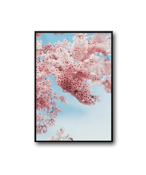 Arora Frame - Imagen 2