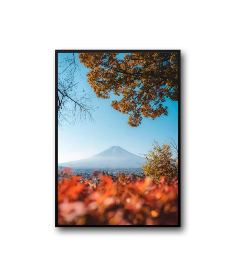 Arora Frame - Imagen 3